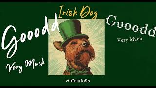 Irish Dog  Goood Very Much  lyrics Video [upl. by Kerrill832]