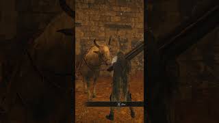 You can pet Torrent in Convergence mod XD eldenring convergence eldenringgameplay [upl. by Yboj]