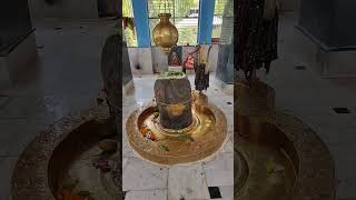 Neeleshwar Mahadev at Rishikeshdakshinkalipeeth chandideviharidwar gangariver neelkanth [upl. by Adnilre]