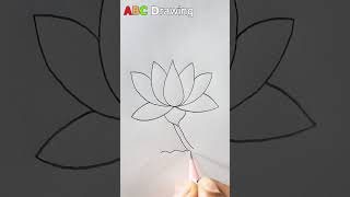 Shapla full Drawing  Easy Drawing drawing easy art [upl. by Kerianne]