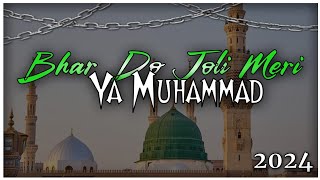 BHAR DO JHOLI MERI  YA MUHAMMAD  DJ MIXING QALAM  FULL PED REMIX  2024 SPECIAL [upl. by Naejamron526]