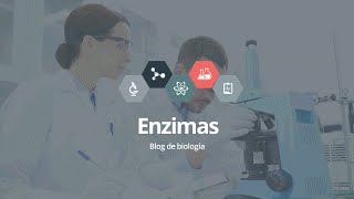 Enzimas [upl. by Sauncho]