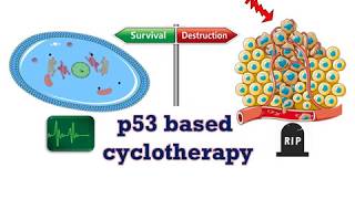 p53 based cyclotherapy [upl. by Rawde]