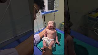 Cute baby born by lscs shortvideo animaldoctor cuteanimal baby babydocter cutebaby [upl. by Acira814]