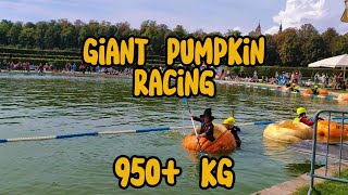 Worlds Largest Pumpkin Festival  Giant Pumpkin racing  Ludwigsburg  Kürbisausstellung [upl. by Tana]