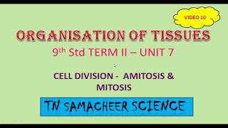 9th TN Samacheer Science  Cell Division  Amitosis amp Mitosis [upl. by Weirick]