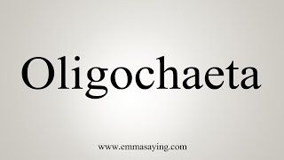 How To Say Oligochaeta [upl. by Leirraj]