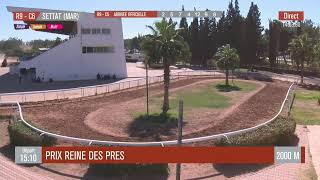 Live Hippodrome « SETTAT »  Courses du « 05102024 » [upl. by Wadsworth40]