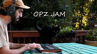 Midday Melodies Sunny Porch OPZ Jam [upl. by Charline286]