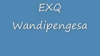 Exq Wandipengesa [upl. by Iolande]