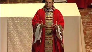 Homily for Pentecost [upl. by Sirovaj]