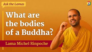 What are the bodies of a Buddha with Lama Michel Rinpoche [upl. by Atteram]