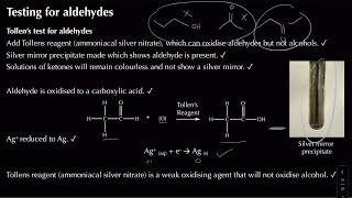 Testing for Carbonyls  Module 6 Organic Chemistry and Analysis  Chemistry  A Level  OCR A [upl. by Geno]