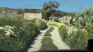 Narrow country road in Malta [upl. by Sylas844]