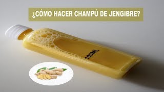 Champú de Jengibre Casero Promueve el Crecimiento del Cabello [upl. by Burnham]