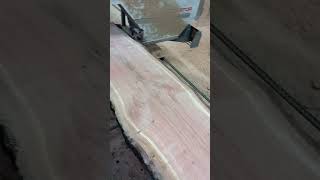 Making timber from a Prunus Serotina with the Pilous sawmill [upl. by Resa]