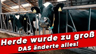 Herde zu groß – doch DAS änderte alles  My KuhTube Film 713 [upl. by Wordoow]