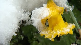 Ostschweiz Der Winter meldet sich zurück  Weisser Sonntagmorgen im Toggenburg [upl. by Odragde]