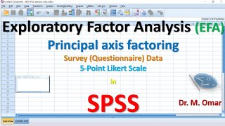 Exploratory Factor Analysis EFA in SPSS [upl. by Ailen]