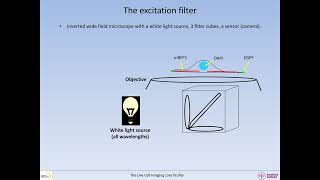 How to evaluate imaging efficiency and risk for bleedthrough Part 1 Basic microscopy [upl. by Lanta92]