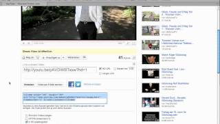 Tutorial YoutubeVideo in eigene Website einbetten [upl. by Nissie]