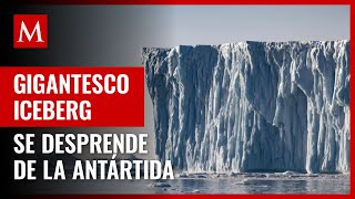 Iceberg 15 veces más grande que París se desprende de la Antártida [upl. by Eillo]