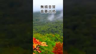 音樂治療療癒 木音养肝Traditional Music healing meditation for anxiety bamboo fluteChinese therapy music [upl. by Ajam]