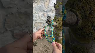 Essential Knot Clove Hitch knottying [upl. by Temp141]