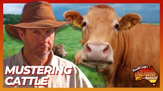 Russell Coight Teaches You How To Muster Cattle  All Aussie Adventures [upl. by Ahsiemal]