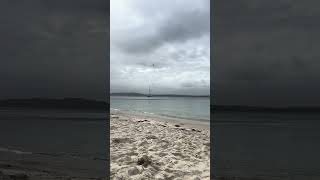 Cool day at Dutchies Beach 🏖️ and its white sands hightide beach shorts portstephens [upl. by Nosahc345]