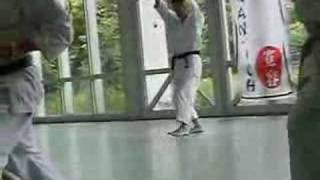 Kawasoe Masao Sensei 8Dan Kata unsu 雲手 [upl. by Adnahcir]