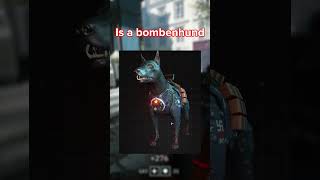 Wolfenstein Exploding Dogs wolfenstein loreingames [upl. by Imarej]