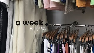 🗑 the last week of october ‘24  thrifting having fun eating [upl. by Robbi467]