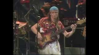 Jaco Pastorius  The ChickenLive in Montreal [upl. by Nilved]