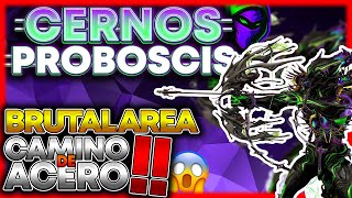 ☠️Build Cernos Proboscis con un DAÑO BRUTAL para Camino de Acero❗ Mata de 2 flechas 2022 [upl. by Marcus]