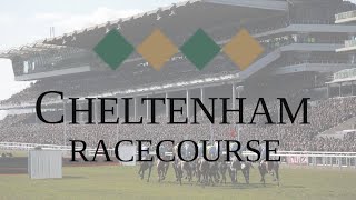 Cheltehham Race Course  Night view  Travel Vlogging  Explore UK [upl. by Annaillil]