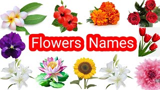 Flowers Name  50 Flowers Name  फूलों के नाम  kidseducation  flowers rose  all flowers name [upl. by Anolahs]