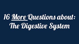 Digestive System Identification Quiz  Part 2 [upl. by Janos]