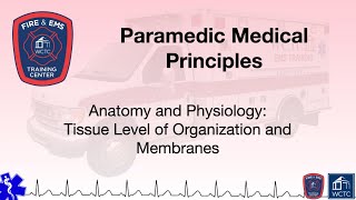 Paramedic 209  Anatomy and Physiology Tissue Level of Organization and Membranes [upl. by Balfour]