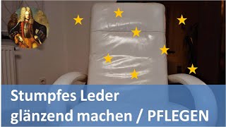 Stumpfes Leder glÃ¤nzend machen  PFLEGEN [upl. by Helmut]