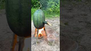 Survival Skills SIMPLE and USEFUL with steam bad water in watermelon bushcraft camping outdoors [upl. by Shifrah]