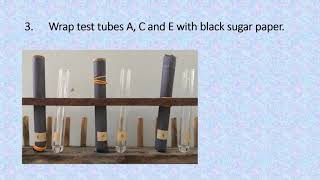 EXPERIMENT 4 REACTIONS OF ALIPHATIC AND AROMATIC HYDROCARBONS [upl. by Danica]