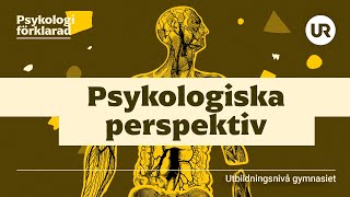 Psykologiska perspektiv förklarade  PSYKOLOGI  Gymnasienivå [upl. by Obmar260]