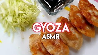 HOW TO MAKE GYOZA  ASMR potstickers gyoza recipes homecooking asmr [upl. by Tranquada]