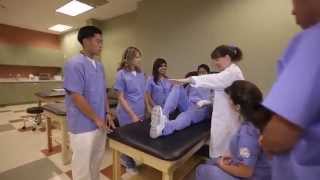 Learn About Our Physical Therapist Assistant Program  Concorde Career College [upl. by Nared]