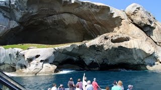 Full Day Cruise  Wilsons Promontory  Wildlife Coast Cruises [upl. by Awhsoj]