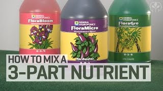 How To Mix a 3Part Hydroponics Nutrient Solution [upl. by Hightower135]