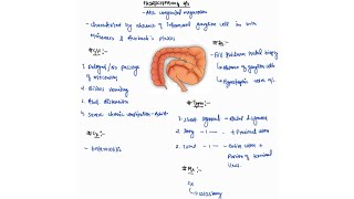 HIRSCHSPRUNGS DISEASE NOTES ONE PAGE NOTES  LARGE INTESTINE  SURGERY  4TH PROFF  MBBS [upl. by Nnod]