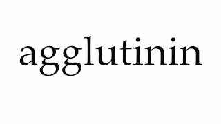 How to Pronounce agglutinin [upl. by Sylvan133]