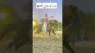 Tent pegging Epi 72 championship viralvideo shortvideo tentpegging rider horse pakistan [upl. by Nehtiek925]